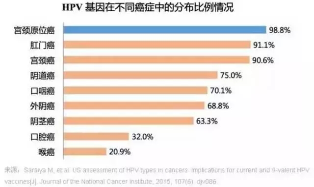 640.webp (1).jpg
